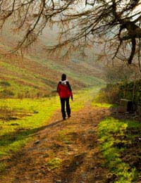 Solo Hiking Solo Walking Hiking Alone