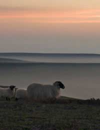 North Yorkshire National Park Cleveland