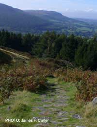 Cleveland Way Walking Hiking National