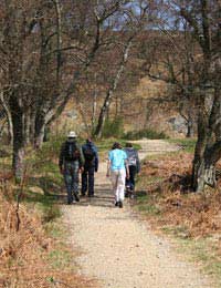 Walking Clubs & Groups