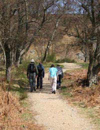 Starting A Walking Club Walking Club