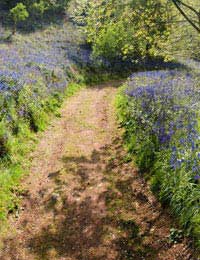 Protecting Public Footpaths Protecting