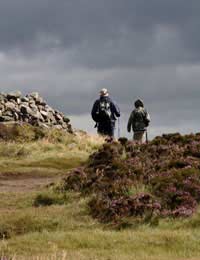 Wales Walking Trail Path National Park